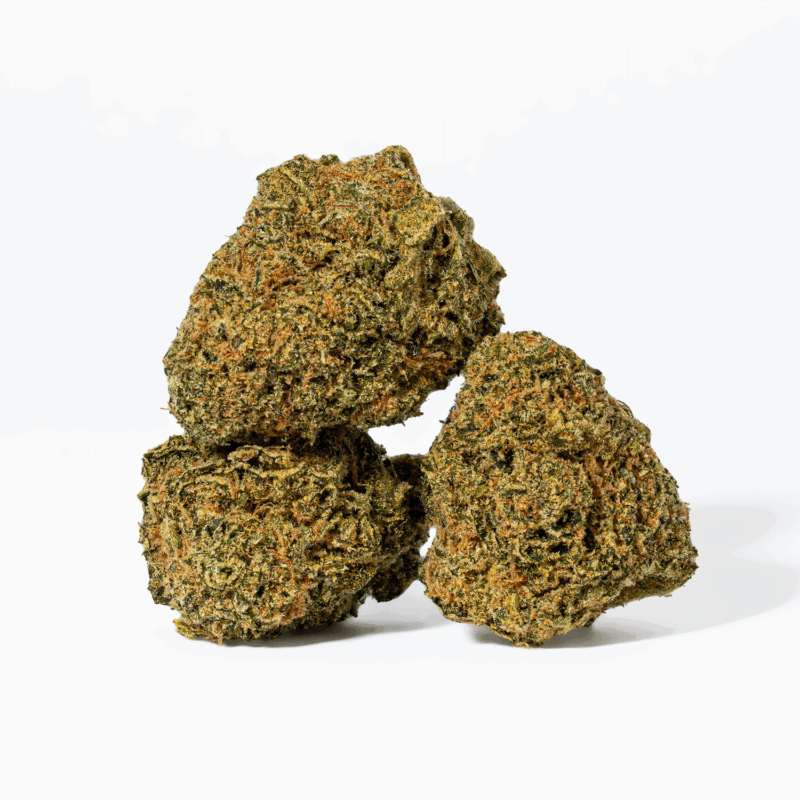 Night Nurse (AA)