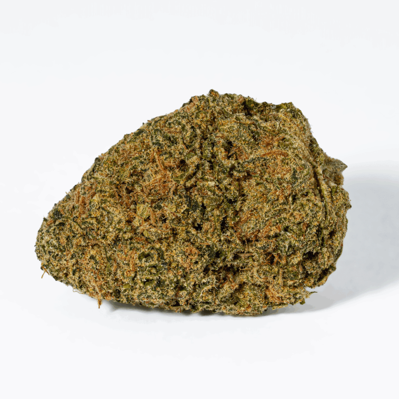 Night Nurse (AA) - Image 3