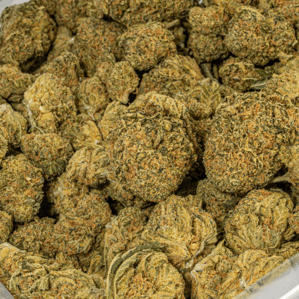 Night Nurse (AA)