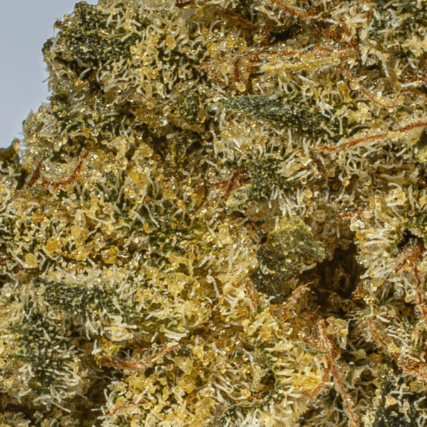 Obama Kush (AA)