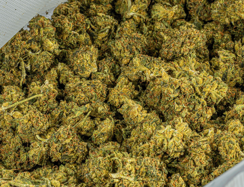 Sour Tangie (AA) - Image 4