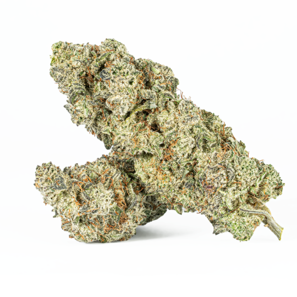 Slurricane (AA+)