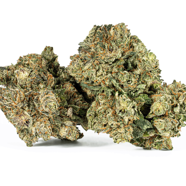 Purple Kush (AAA)