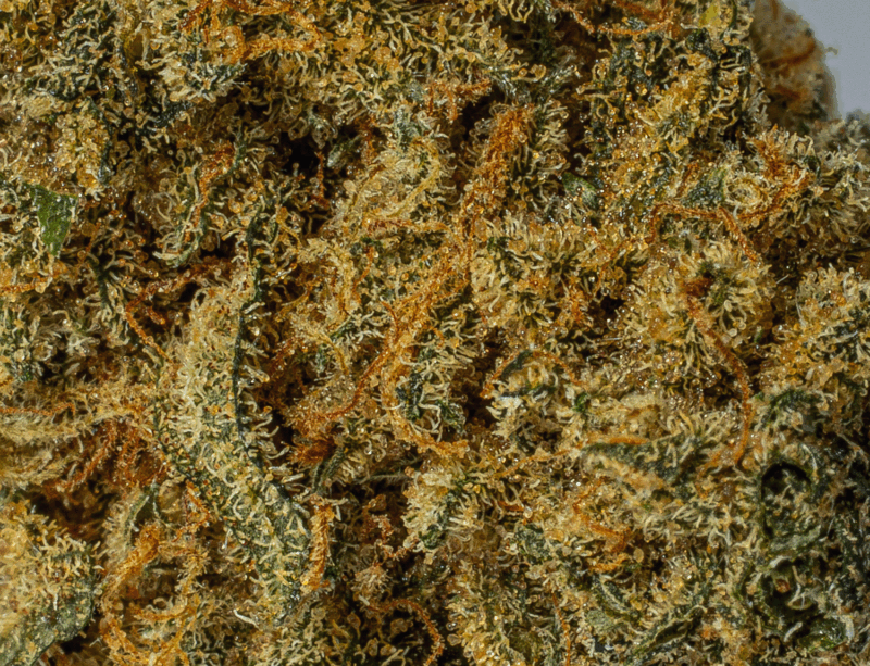 Orange Mints (AAA) - Image 4