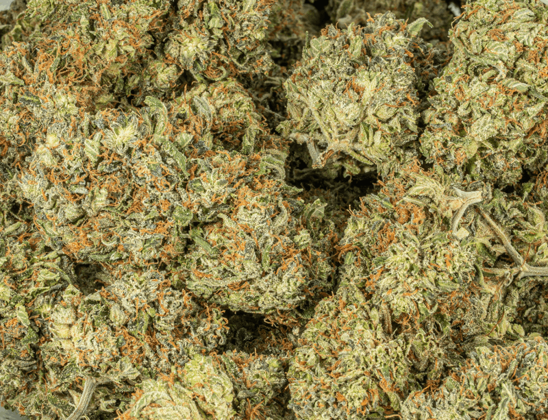 Ace Killer Og (AAA+) - Image 4