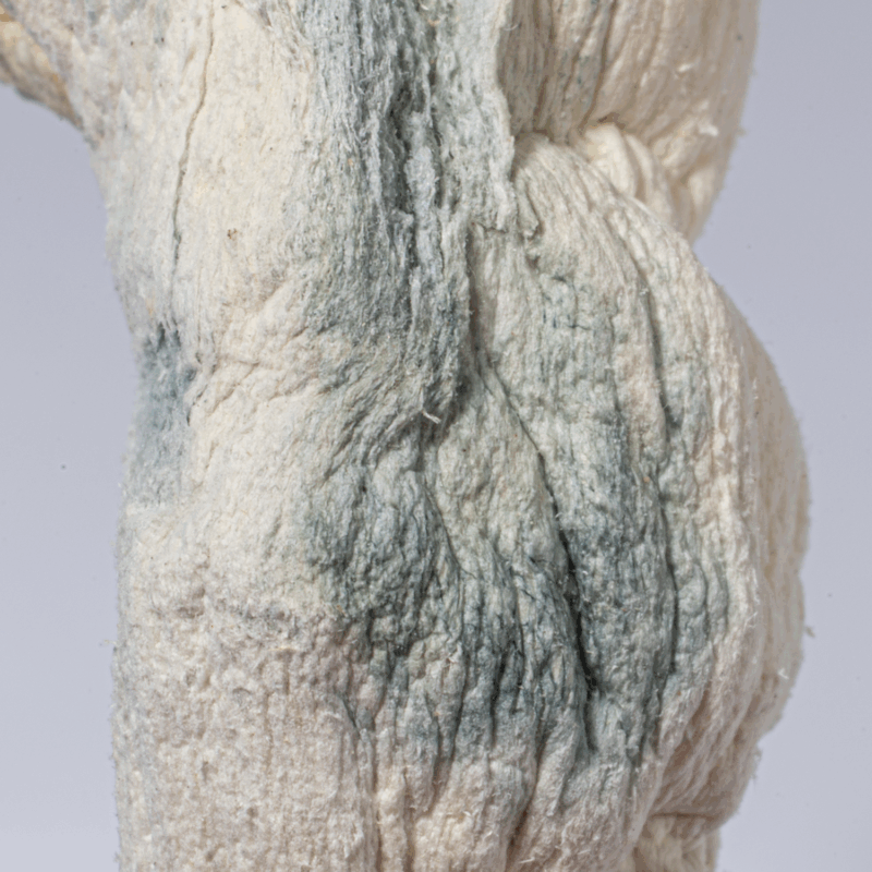 Blue Meanies Mushrooms - Image 3