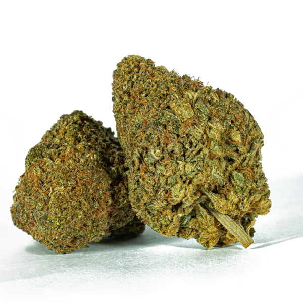 Beaver Tail (AA+)