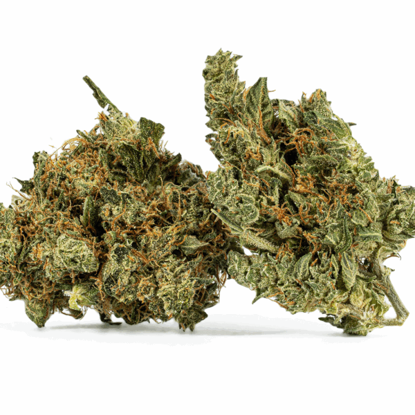 Cali Bubba (AA)