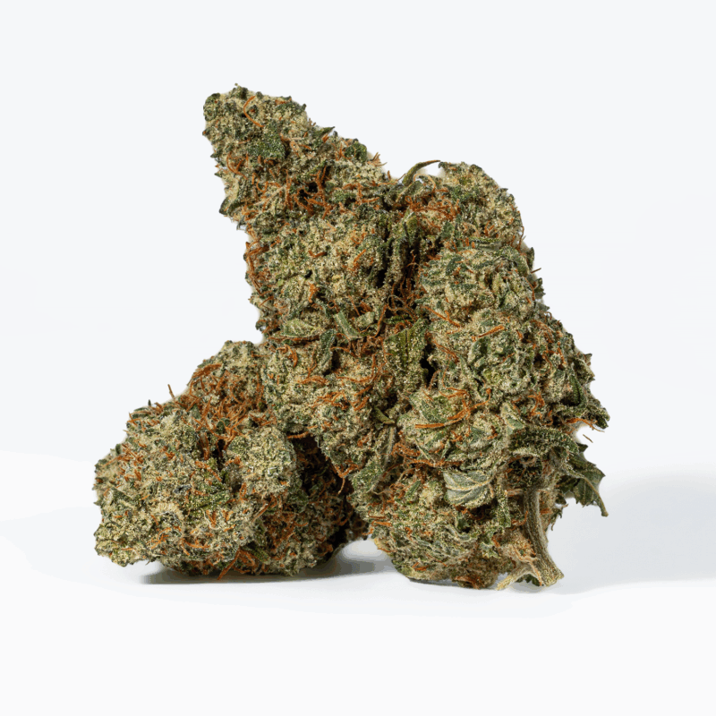 Sundae Float (AAA) - Image 2
