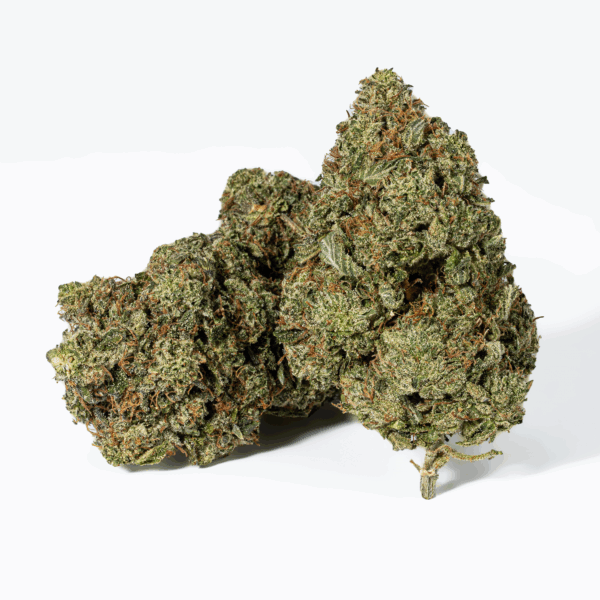 Champagne Pink (AAAA)