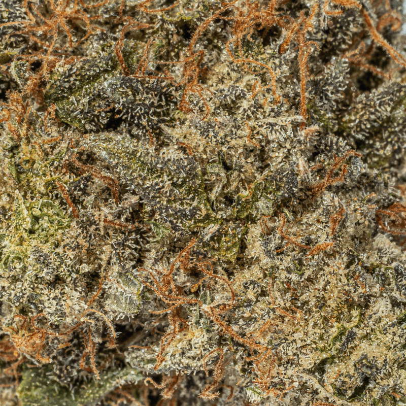 Platinum Glue (AAA+) - Image 4