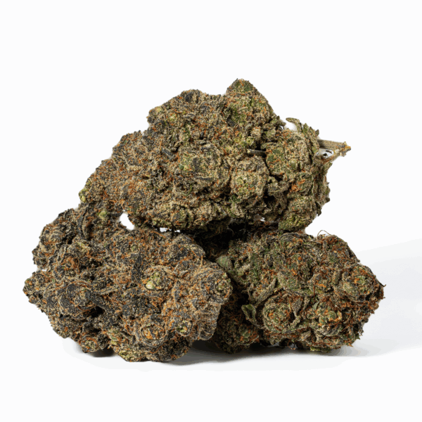 Grunk Panda (AAAA)