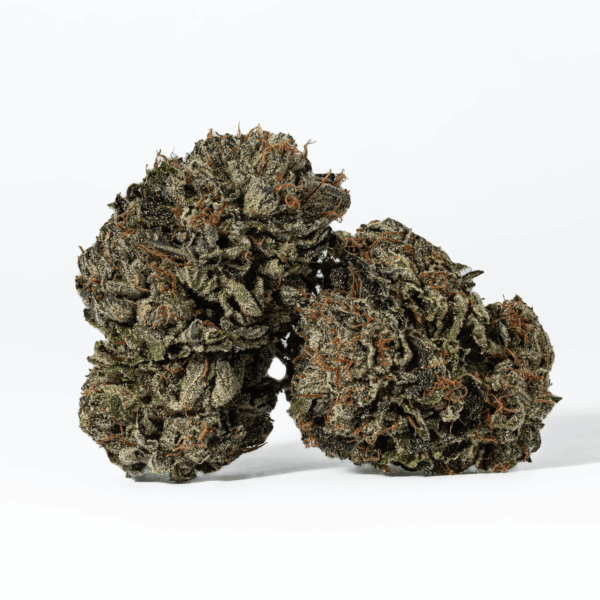 Gas Daddy (AAAA)