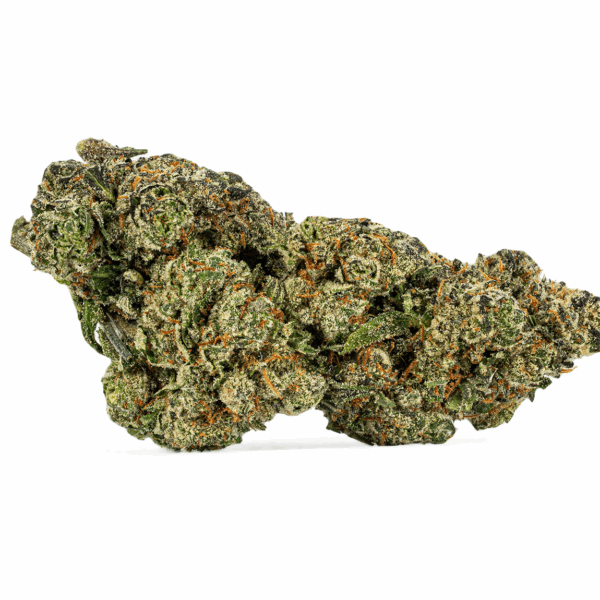 Humboldt Frost (AAAA)