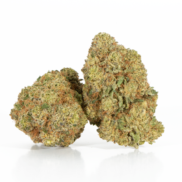 Gelato (AAA+)