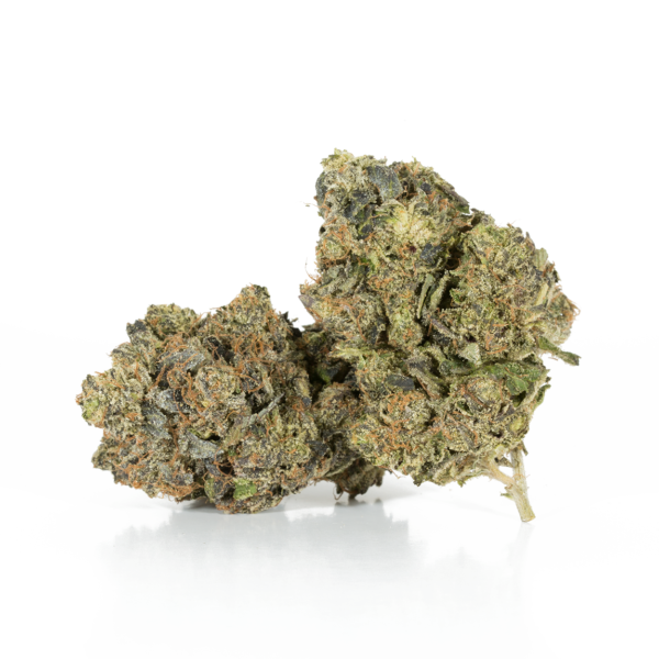 Master Bubba (AAA+)