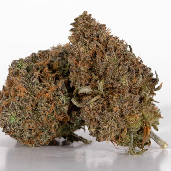 Mimosa (AAA)