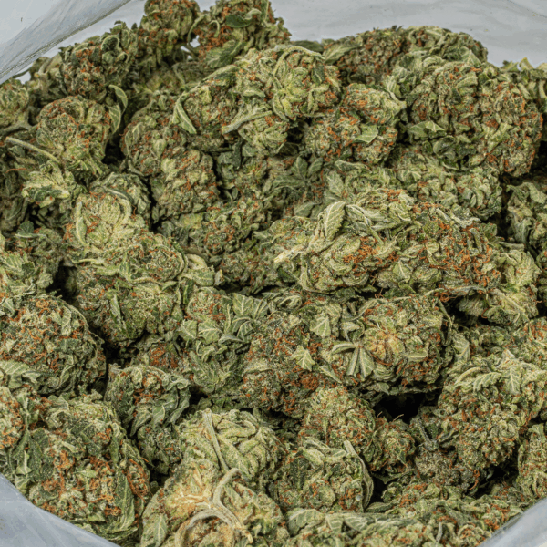 Bubba Kush (AA+)
