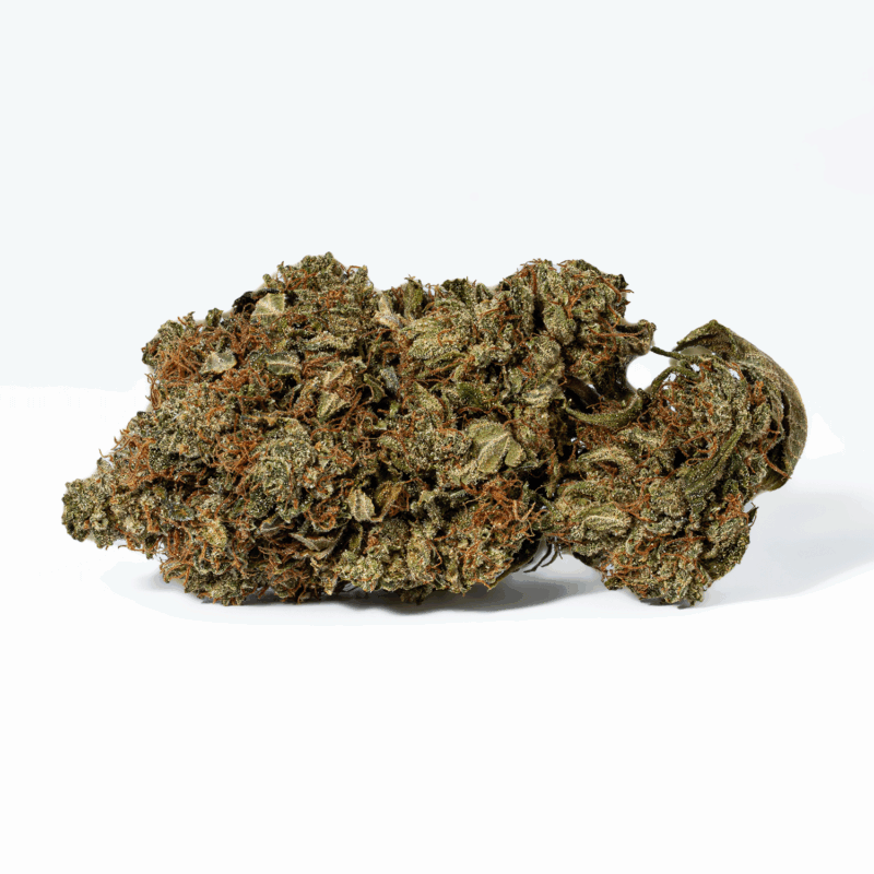 Grease Monkey (AA) - Image 3