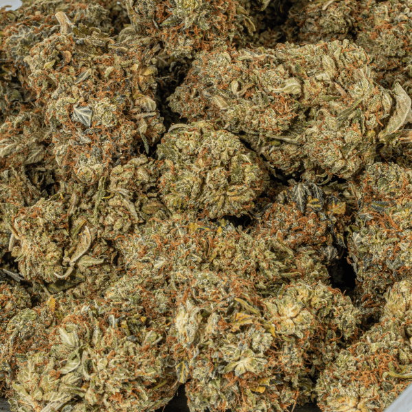 Grease Monkey (AA)