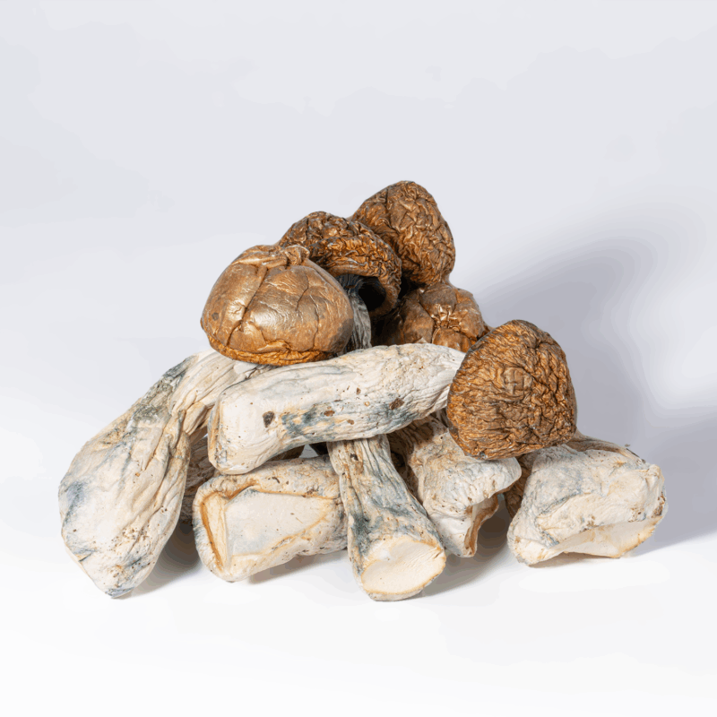 Penis Envy Mushrooms - Image 2