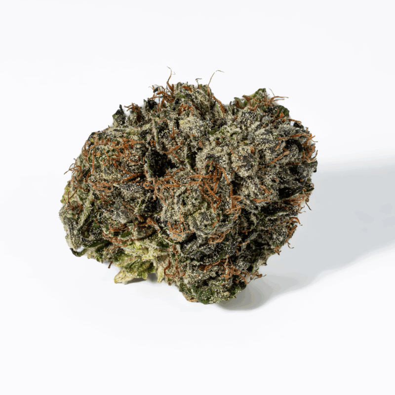 Gas Mask (AAAA) - Image 4