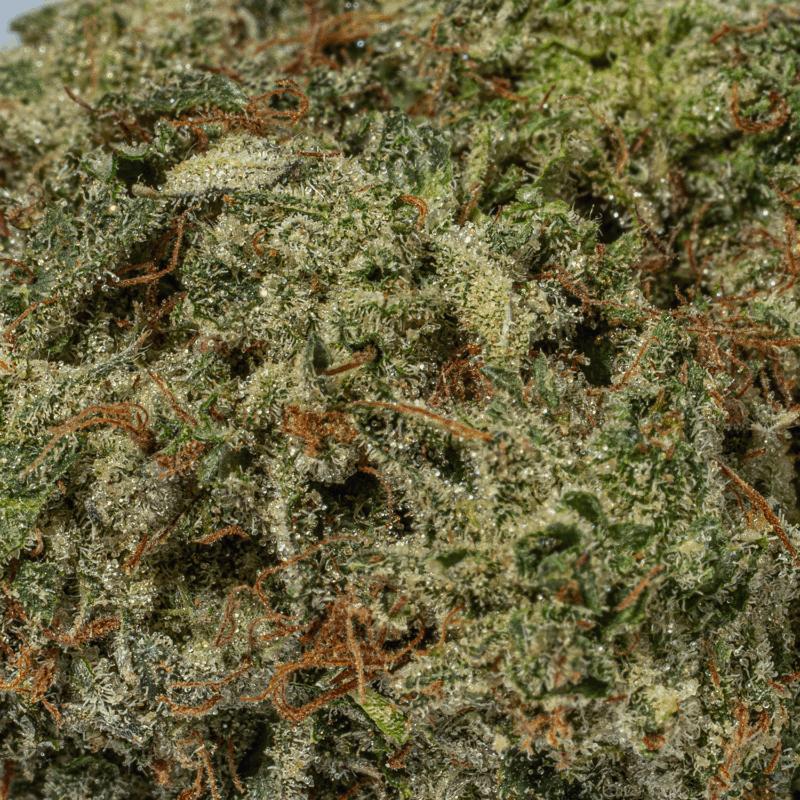 Greasy Pink Bubba (AAAA) - Image 4