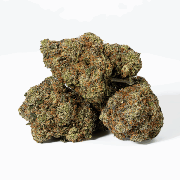 Gorilla Pink (AAA+)