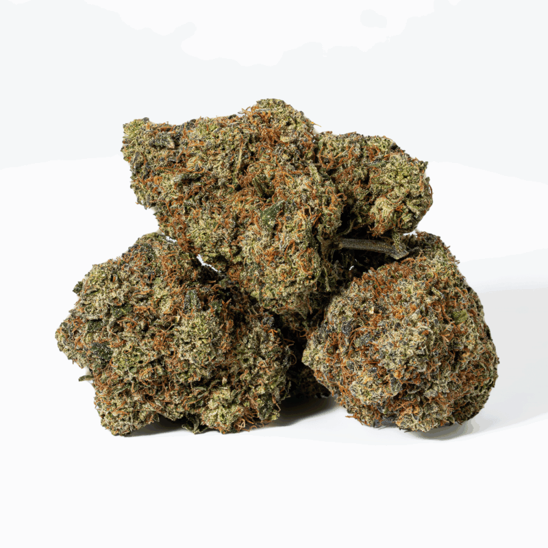 Gorilla Pink (AAA+)