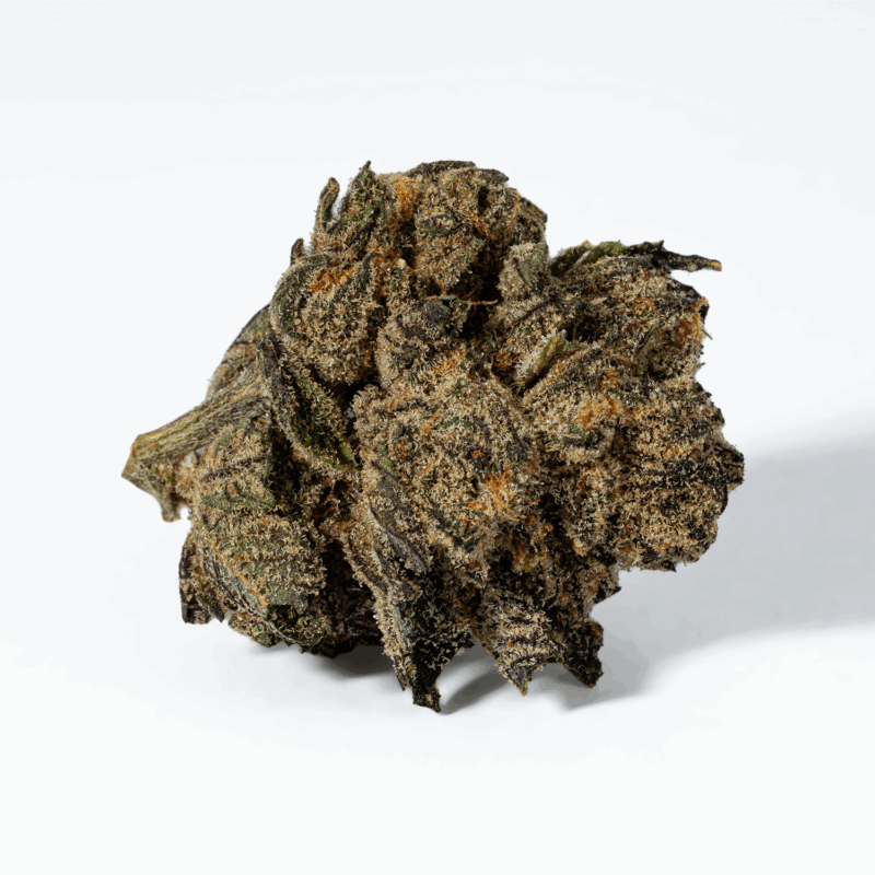 Purple Pinecone (AA+) - Image 3
