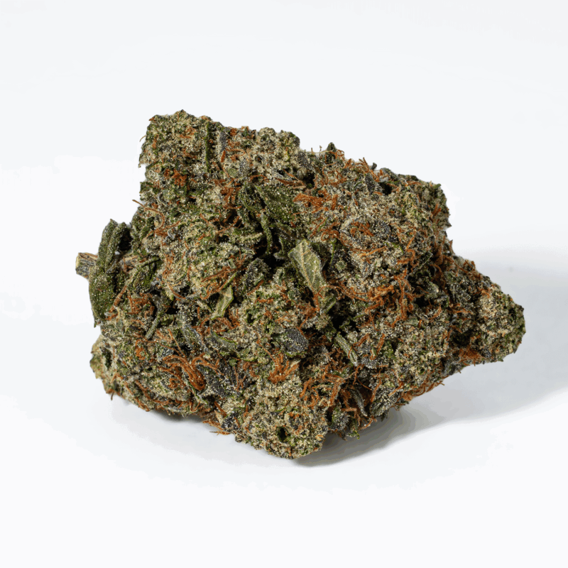 Rockstar Tuna (AAA+) - Image 3
