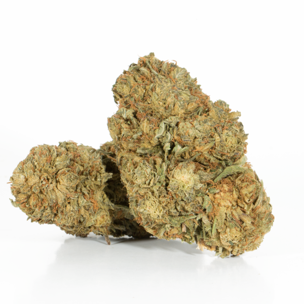 Romulan (AA)