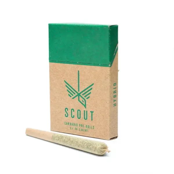 Scout - 5 Pack Pre-Rolls (0.5g) - Hybrid