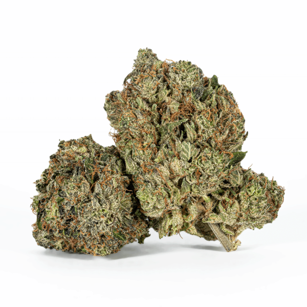 Ultra Pink (AAA+)