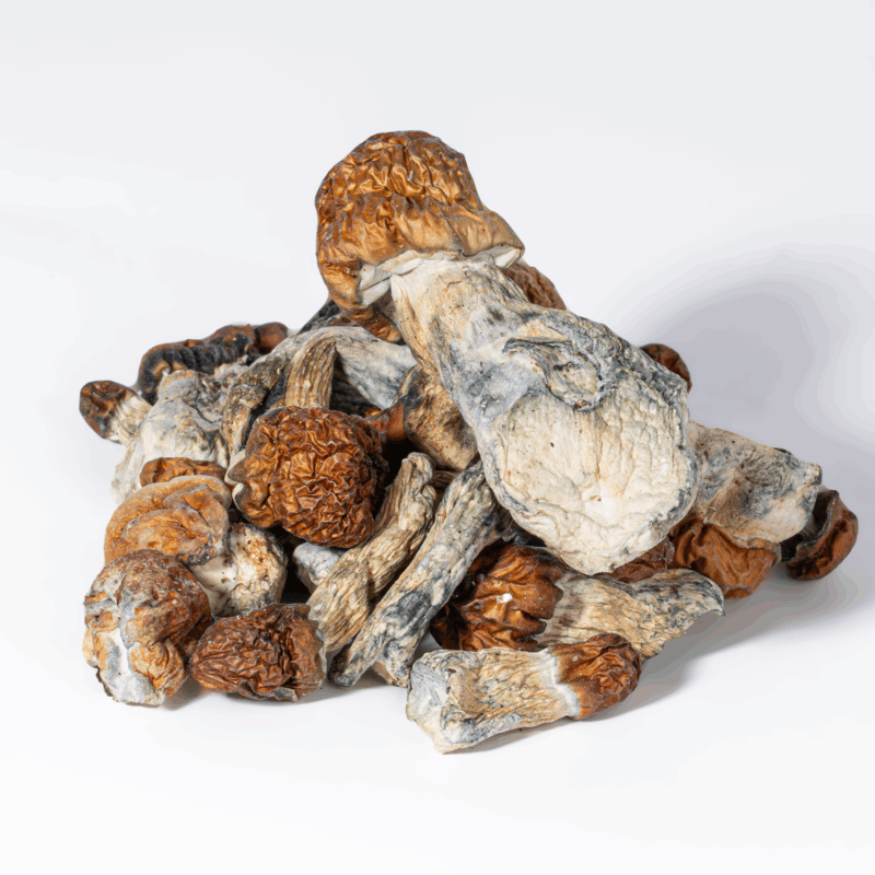 Vietnamese Mushrooms - Image 2