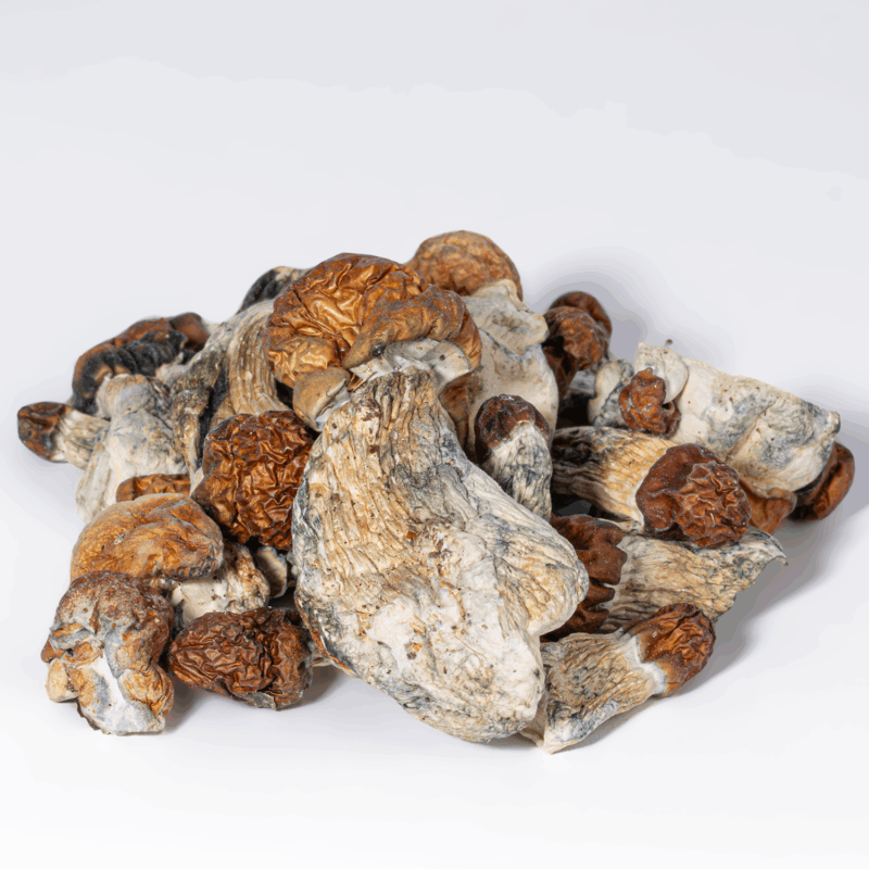 Vietnamese Mushrooms - Image 3