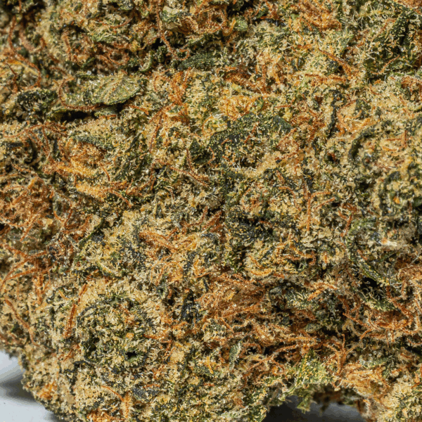 Lime Chernobyl (AAA)