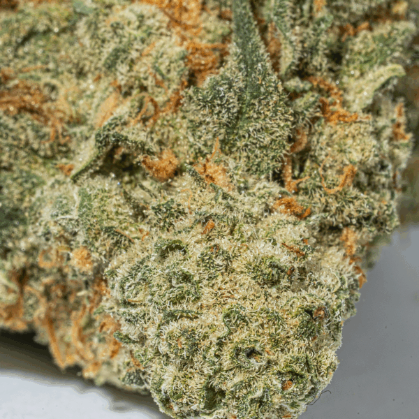 Super Nuken (AAA)