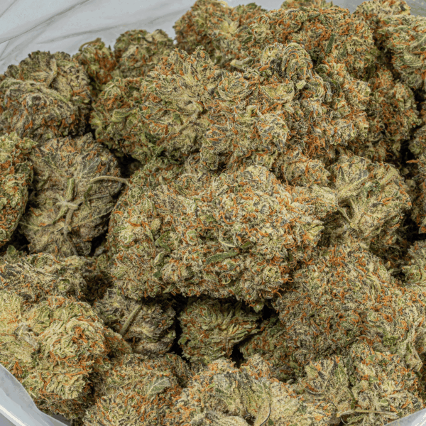 Montana Silver (AAA)