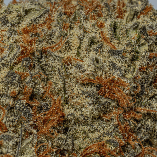 Peyote Cookies (AA+)