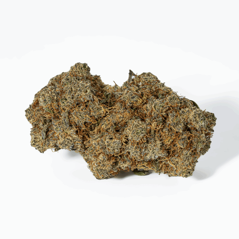 Orange Julius (AA+) - Image 3