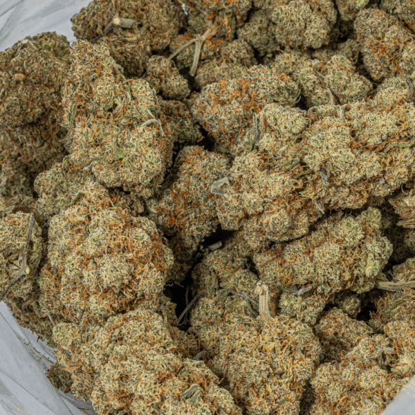 Orange Julius (AA+)
