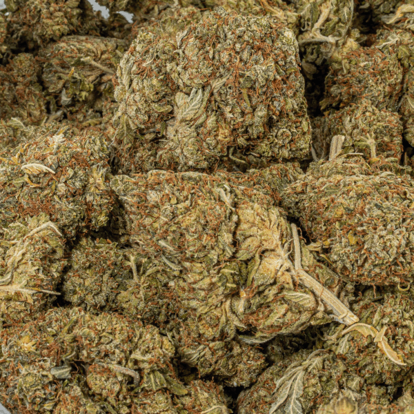 Island Sweet Skunk (AA)