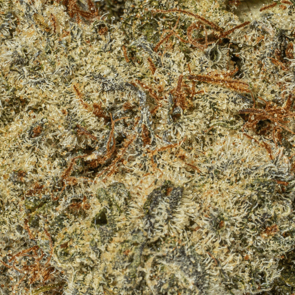 Wedding Cake (AA+)