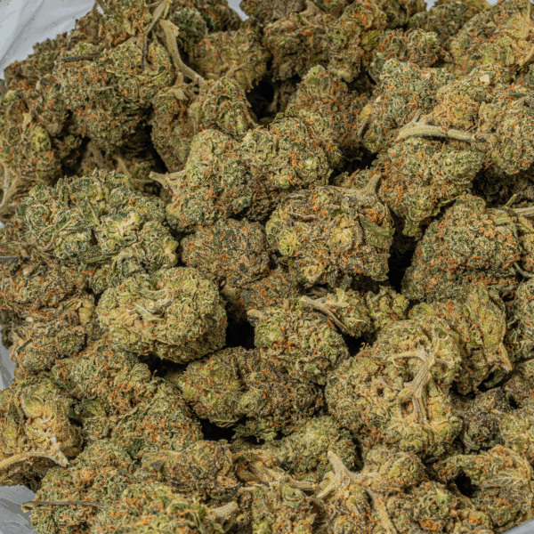 Ayahuasca Purple (AA+)