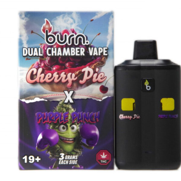 Burn Dual 6g Vape - Cherry Pie + Purple Punch