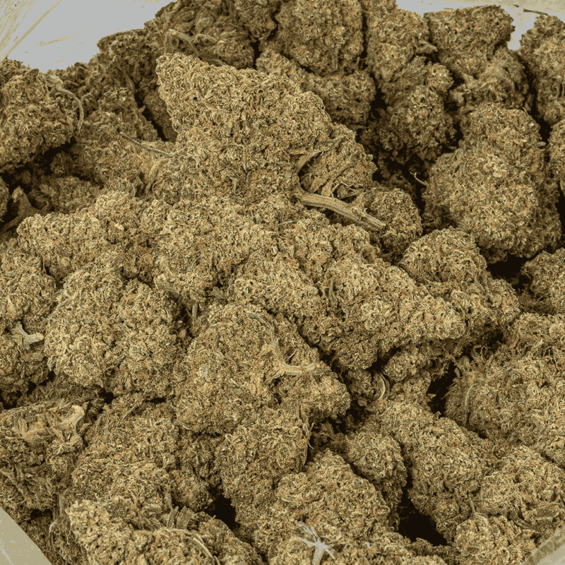 Grape God (AAA) - Image 4