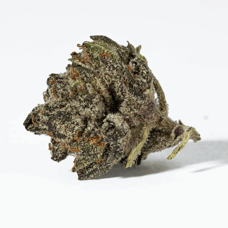 (Smalls) Greasy Pink Bubba (AAAA) - Image 3