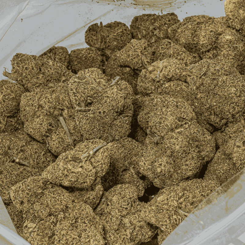 Monster Berry  (AA+) - Image 4