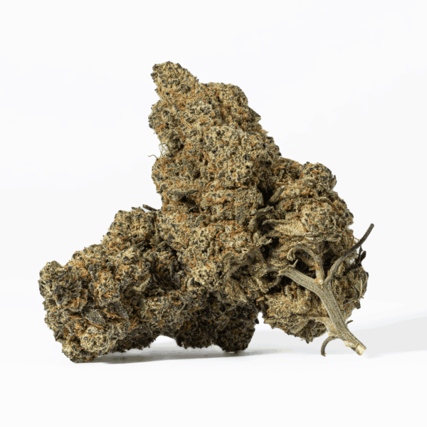 Nuken (AA+)